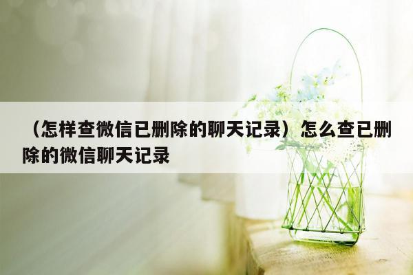 （怎样查微信已删除的聊天记录）怎么查已删除的微信聊天记录