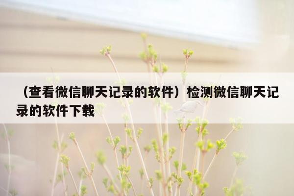 （查看微信聊天记录的软件）检测微信聊天记录的软件下载