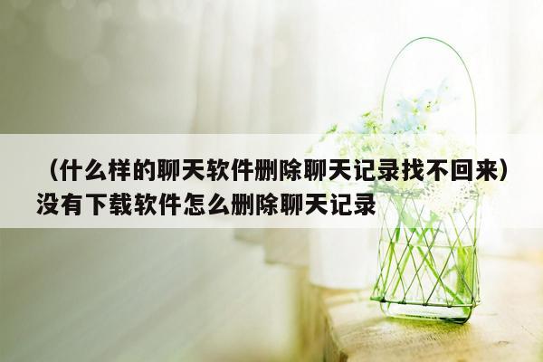 （什么样的聊天软件删除聊天记录找不回来）没有下载软件怎么删除聊天记录