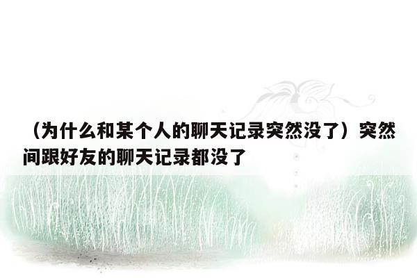 （为什么和某个人的聊天记录突然没了）突然间跟好友的聊天记录都没了