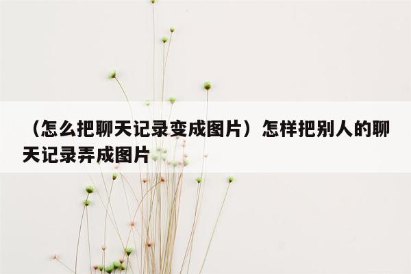 （怎么把聊天记录变成图片）怎样把别人的聊天记录弄成图片