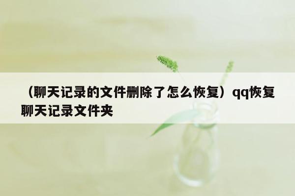 （聊天记录的文件删除了怎么恢复）qq恢复聊天记录文件夹