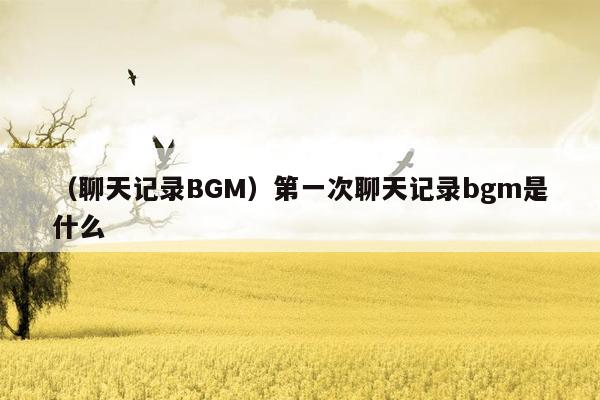 （聊天记录BGM）第一次聊天记录bgm是什么