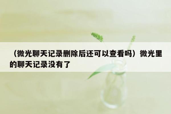 （微光聊天记录删除后还可以查看吗）微光里的聊天记录没有了