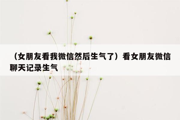 （女朋友看我微信然后生气了）看女朋友微信聊天记录生气