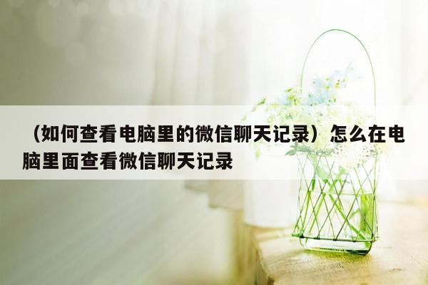 （如何查看电脑里的微信聊天记录）怎么在电脑里面查看微信聊天记录