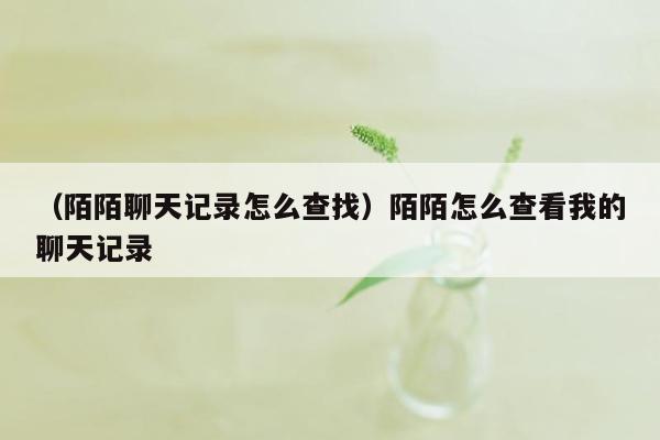 （陌陌聊天记录怎么查找）陌陌怎么查看我的聊天记录