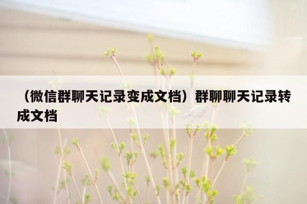 （微信群聊天记录变成文档）群聊聊天记录转成文档