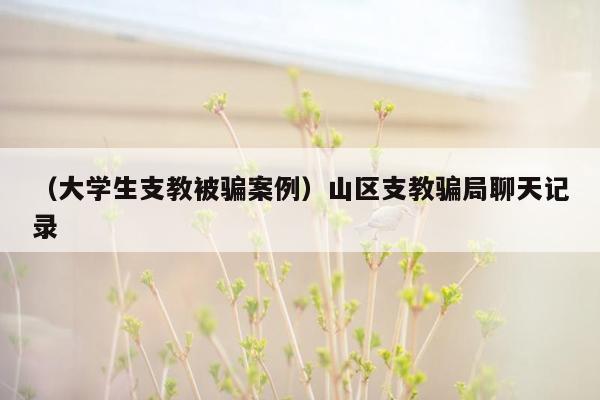 （大学生支教被骗案例）山区支教骗局聊天记录