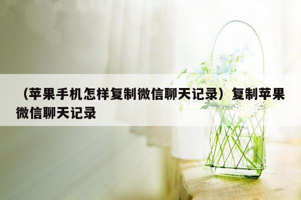 （苹果手机怎样复制微信聊天记录）复制苹果微信聊天记录