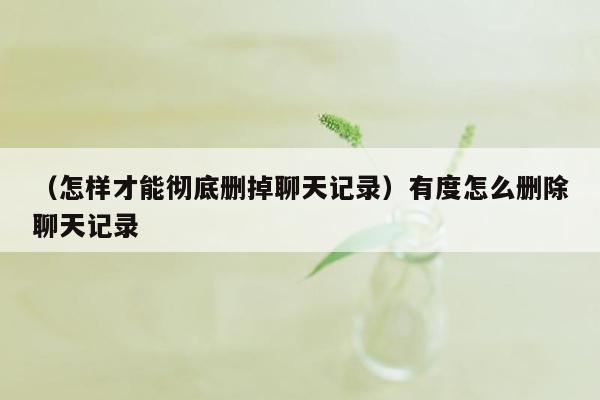 （怎样才能彻底删掉聊天记录）有度怎么删除聊天记录