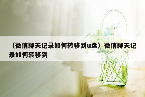 （微信聊天记录如何转移到u盘）微信聊天记录如何转移到