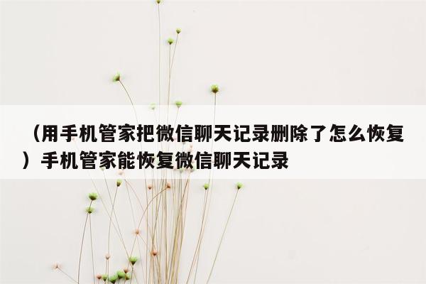 （用手机管家把微信聊天记录删除了怎么恢复）手机管家能恢复微信聊天记录