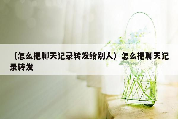 （怎么把聊天记录转发给别人）怎么把聊天记录转发