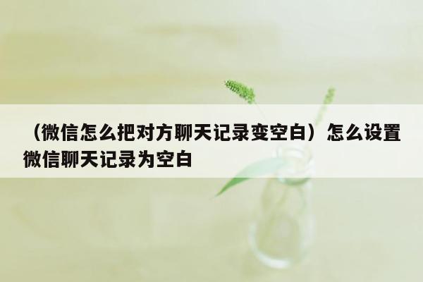 （微信怎么把对方聊天记录变空白）怎么设置微信聊天记录为空白