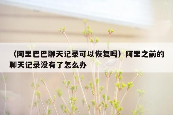 （阿里巴巴聊天记录可以恢复吗）阿里之前的聊天记录没有了怎么办