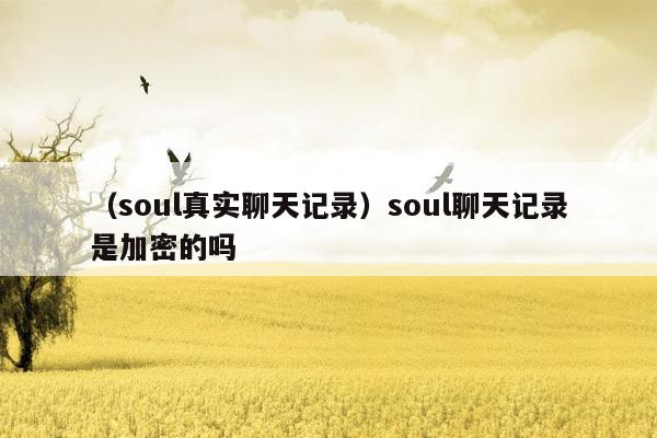 （soul真实聊天记录）soul聊天记录是加密的吗