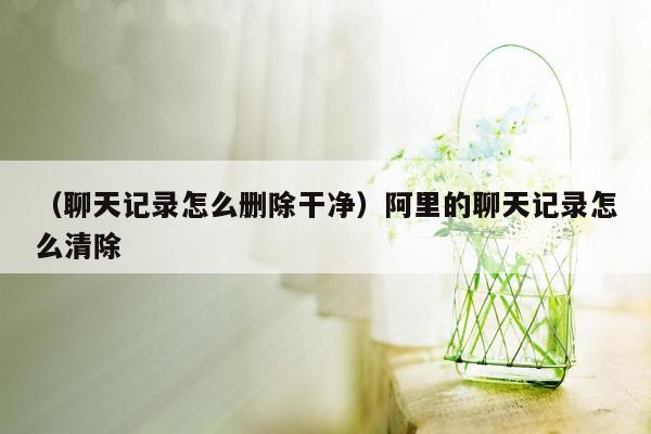 （聊天记录怎么删除干净）阿里的聊天记录怎么清除