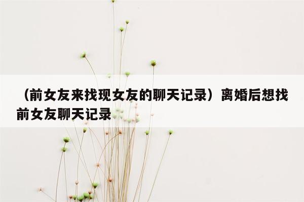 （前女友来找现女友的聊天记录）离婚后想找前女友聊天记录