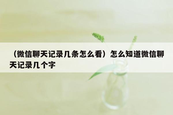 （微信聊天记录几条怎么看）怎么知道微信聊天记录几个字