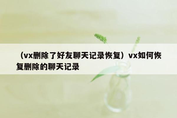 （vx删除了好友聊天记录恢复）vx如何恢复删除的聊天记录