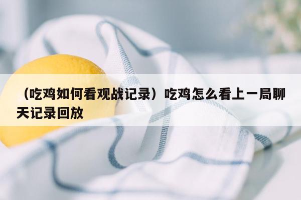 （吃鸡如何看观战记录）吃鸡怎么看上一局聊天记录回放