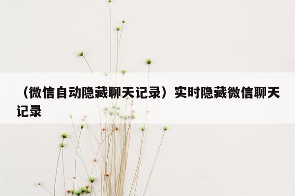 （微信自动隐藏聊天记录）实时隐藏微信聊天记录