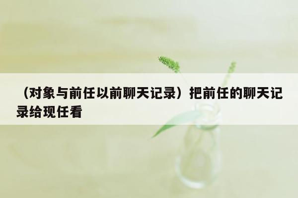 （对象与前任以前聊天记录）把前任的聊天记录给现任看