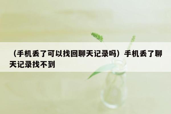 （手机丢了可以找回聊天记录吗）手机丢了聊天记录找不到