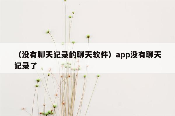 （没有聊天记录的聊天软件）app没有聊天记录了