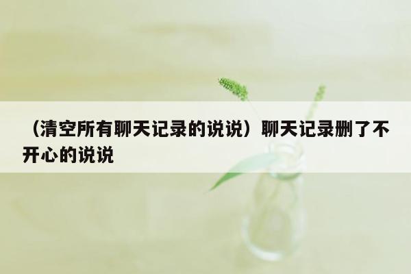 （清空所有聊天记录的说说）聊天记录删了不开心的说说