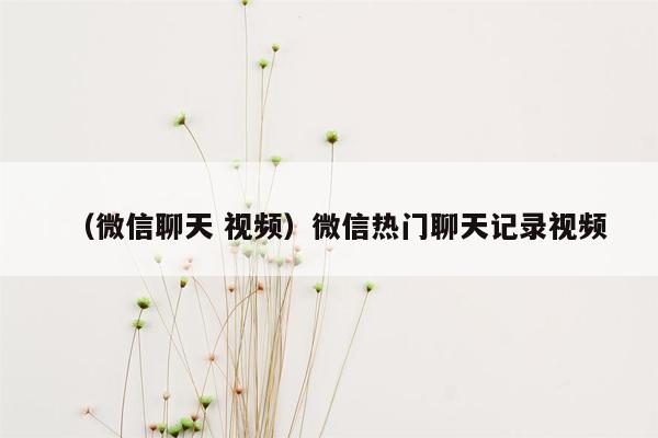 （微信聊天 视频）微信热门聊天记录视频