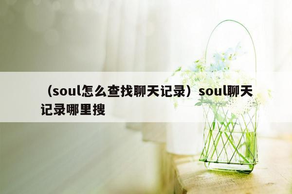 （soul怎么查找聊天记录）soul聊天记录哪里搜