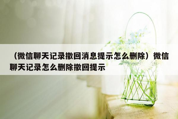 （微信聊天记录撤回消息提示怎么删除）微信聊天记录怎么删除撤回提示