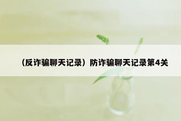 （反诈骗聊天记录）防诈骗聊天记录第4关