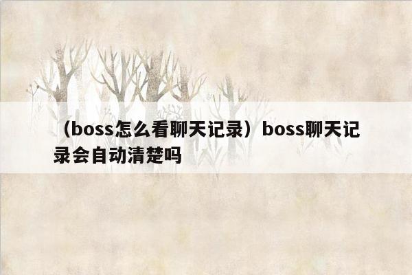 （boss怎么看聊天记录）boss聊天记录会自动清楚吗