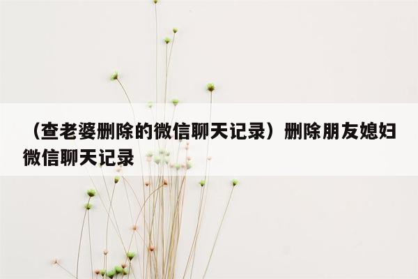 （查老婆删除的微信聊天记录）删除朋友媳妇微信聊天记录