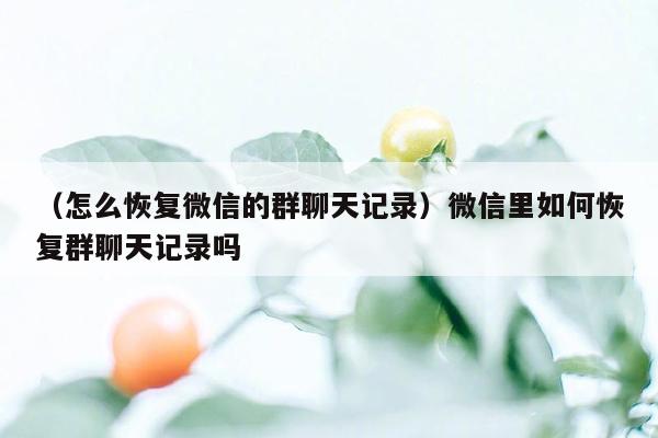 （怎么恢复微信的群聊天记录）微信里如何恢复群聊天记录吗