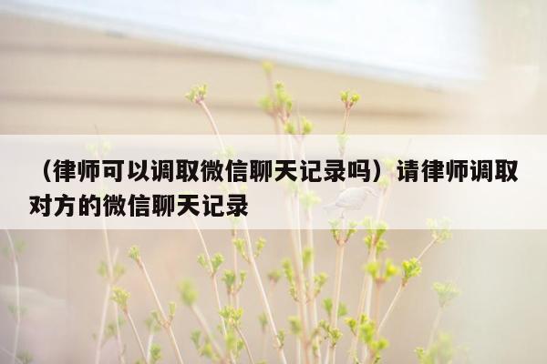 （律师可以调取微信聊天记录吗）请律师调取对方的微信聊天记录