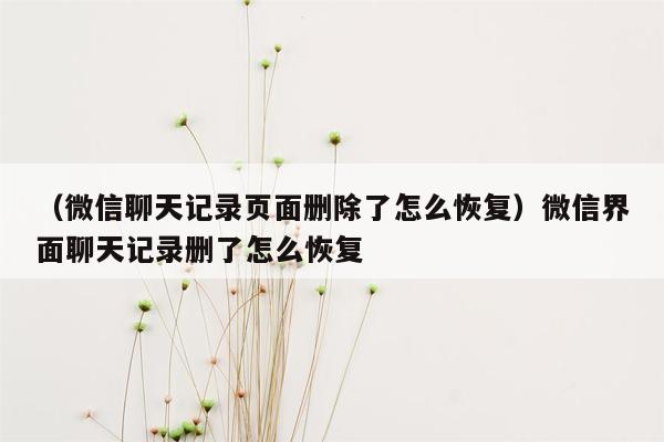 （微信聊天记录页面删除了怎么恢复）微信界面聊天记录删了怎么恢复