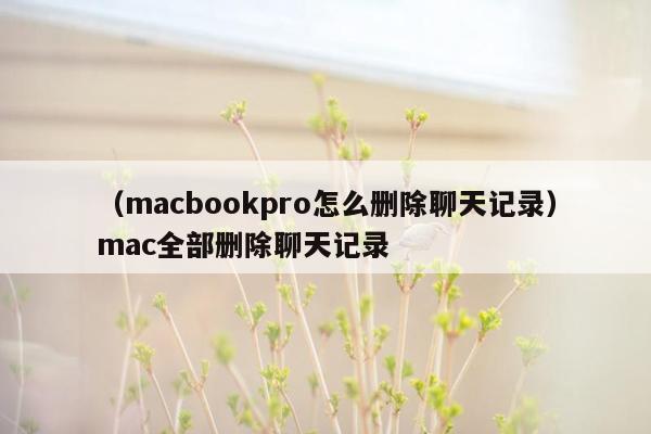 （macbookpro怎么删除聊天记录）mac全部删除聊天记录