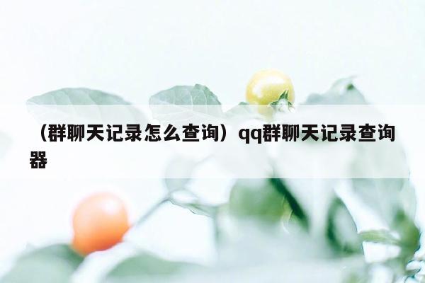 （群聊天记录怎么查询）qq群聊天记录查询器