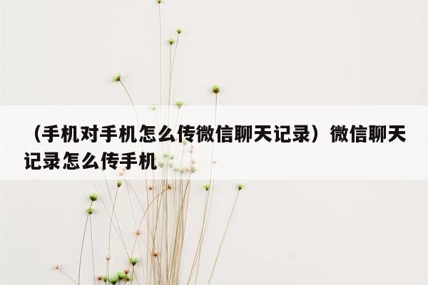 （手机对手机怎么传微信聊天记录）微信聊天记录怎么传手机