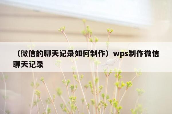 （微信的聊天记录如何制作）wps制作微信聊天记录