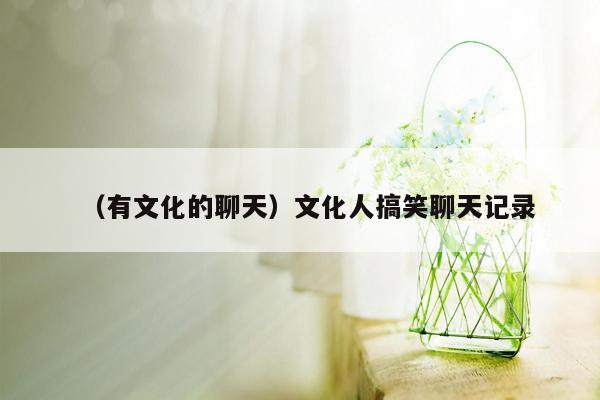 （有文化的聊天）文化人搞笑聊天记录