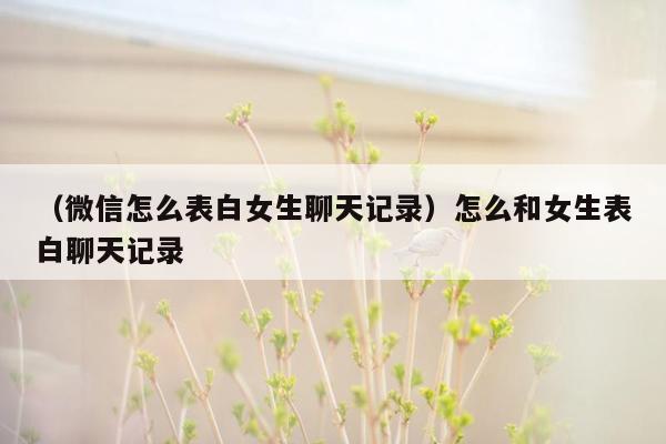 （微信怎么表白女生聊天记录）怎么和女生表白聊天记录