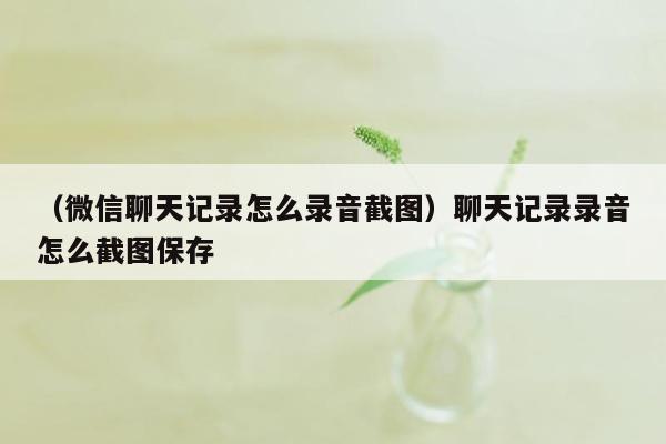 （微信聊天记录怎么录音截图）聊天记录录音怎么截图保存