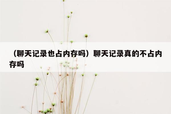 （聊天记录也占内存吗）聊天记录真的不占内存吗