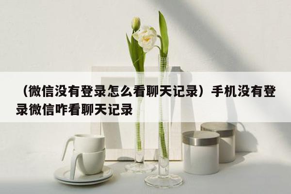 （微信没有登录怎么看聊天记录）手机没有登录微信咋看聊天记录