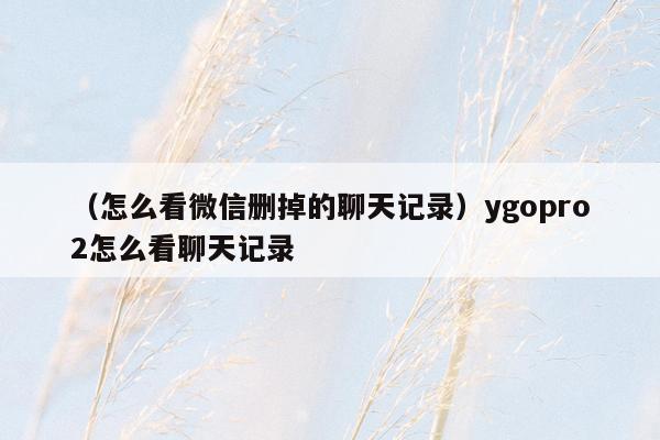 （怎么看微信删掉的聊天记录）ygopro2怎么看聊天记录